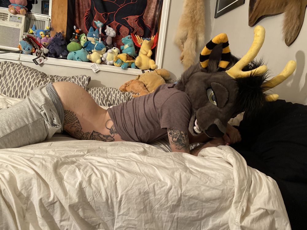 u71479903 OnlyFans profile picture