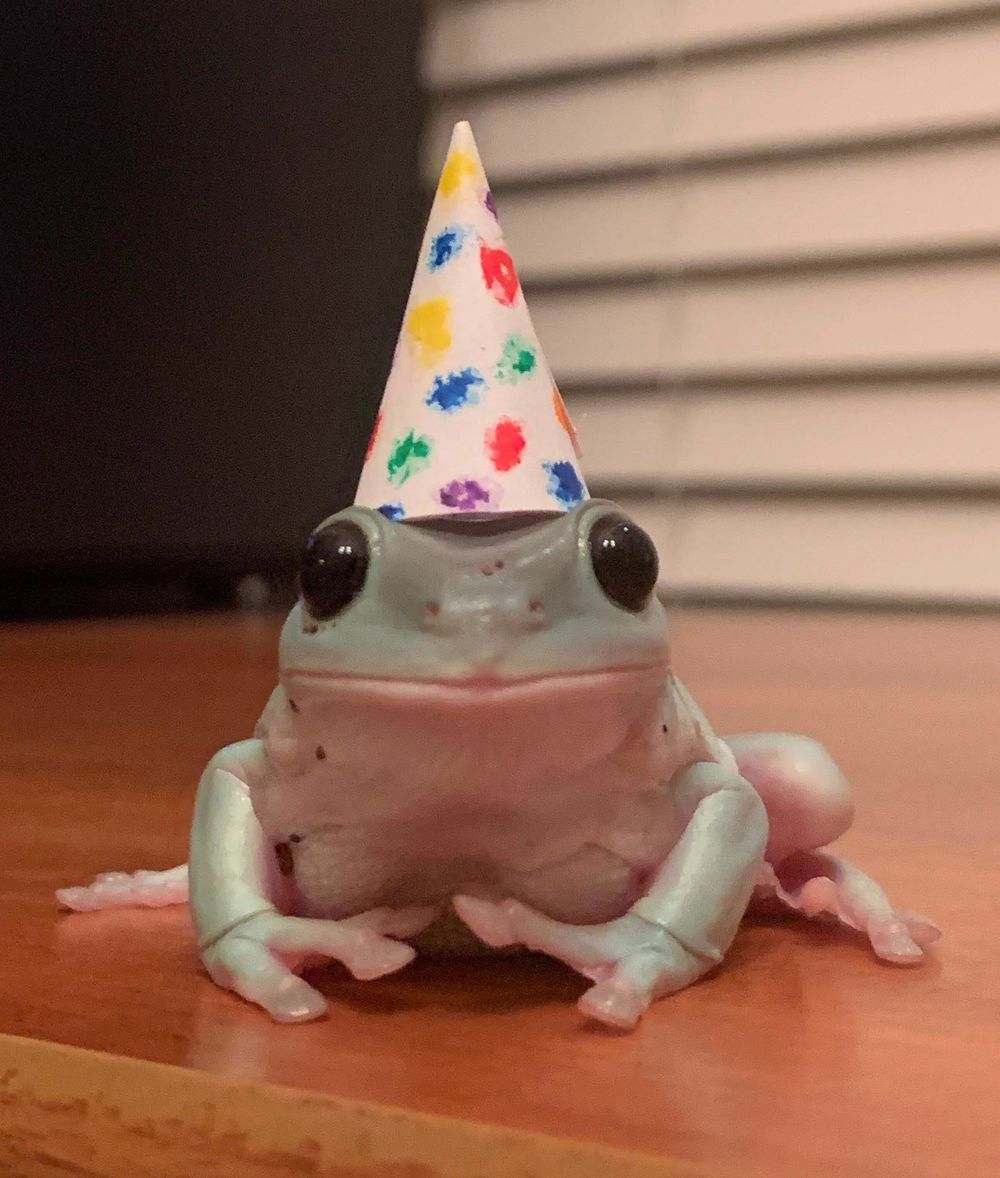 sharkrat1 OnlyFans profile picture