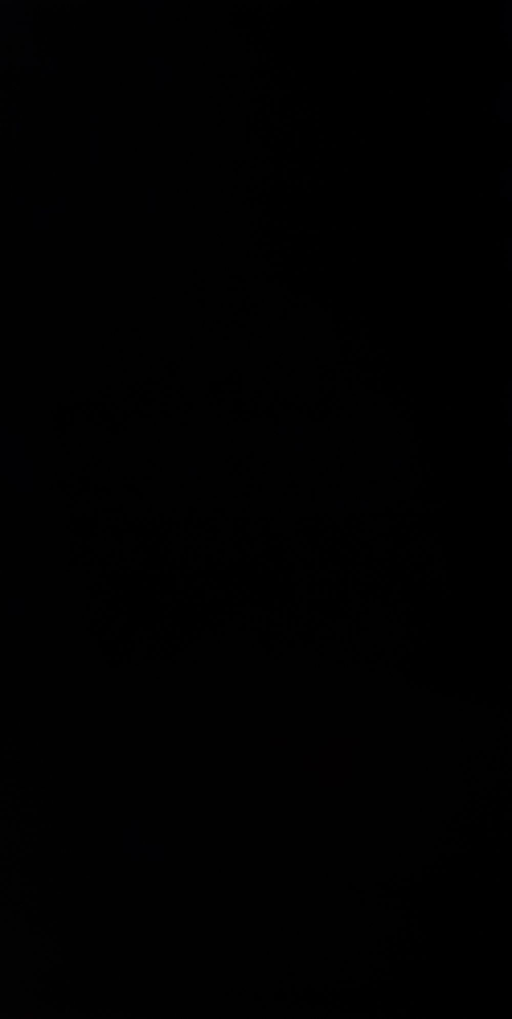 danessha OnlyFans profile picture