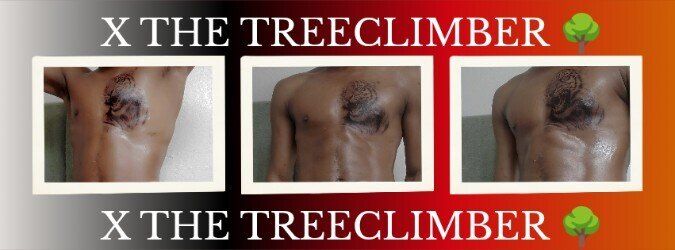 treeclimberxxxx OnlyFans profile picture