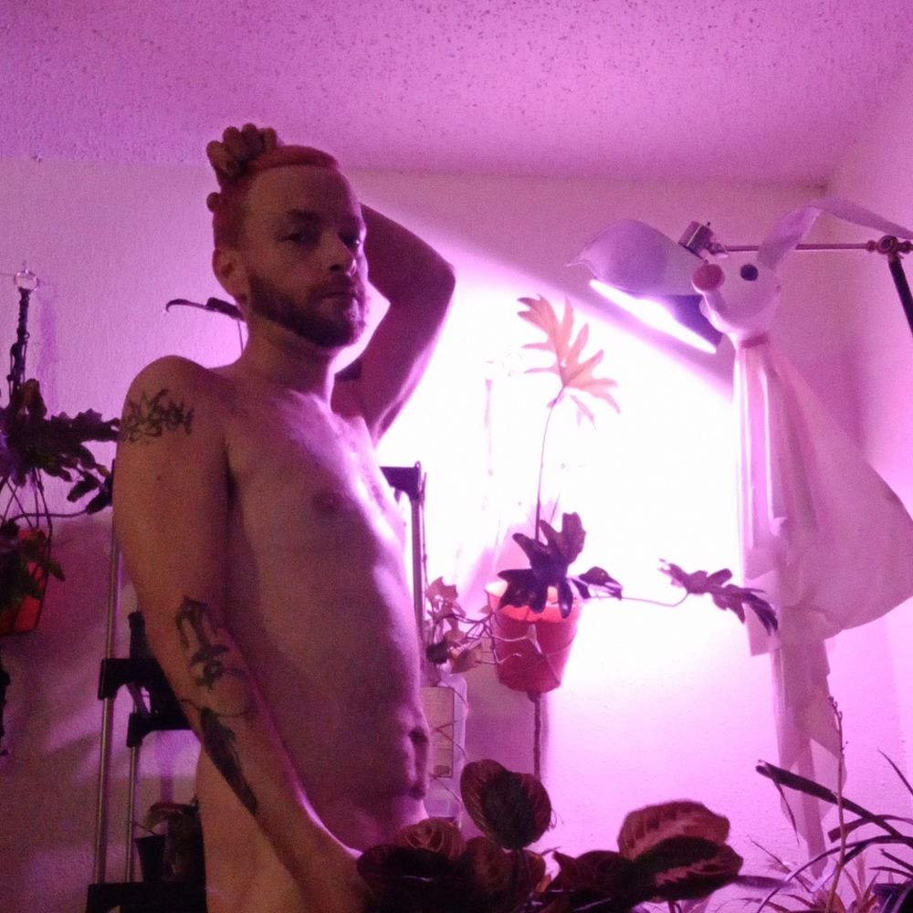 lawsonray OnlyFans profile picture
