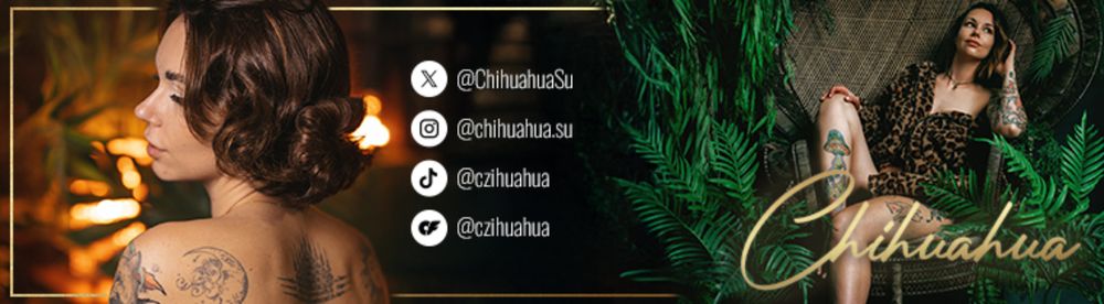 czihuahua OnlyFans profile picture