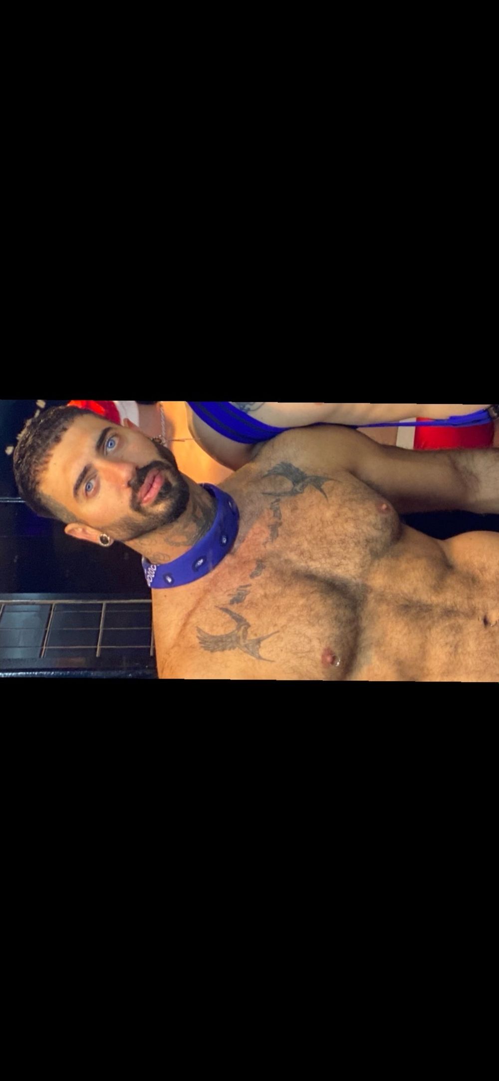 royal_xxl OnlyFans profile picture