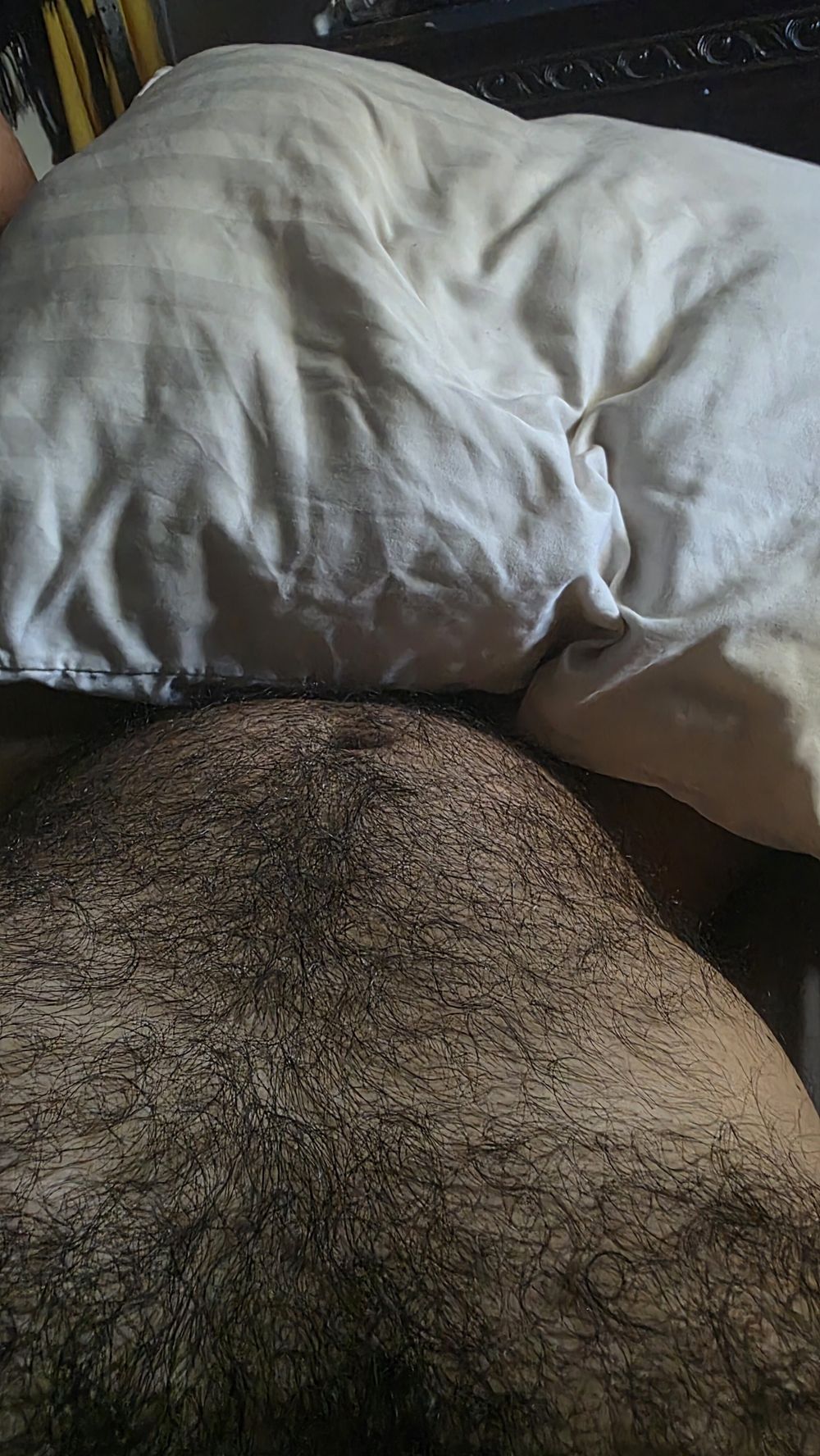 gusgusd OnlyFans profile picture