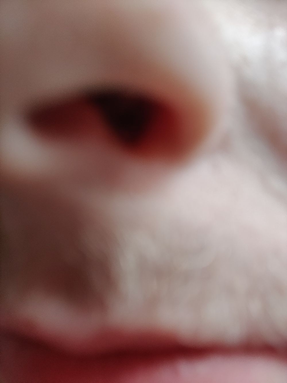 sean_the_lad OnlyFans profile picture