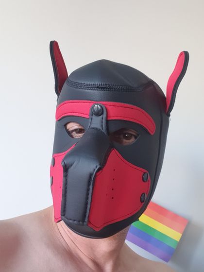doggygayboys OnlyFans picture
