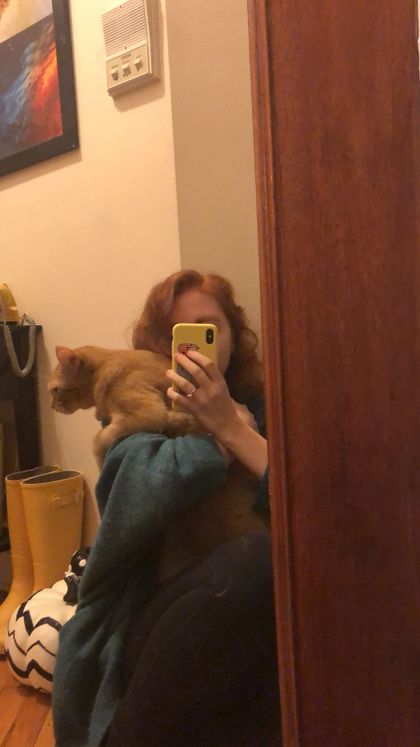jeanne.chatte OnlyFans picture