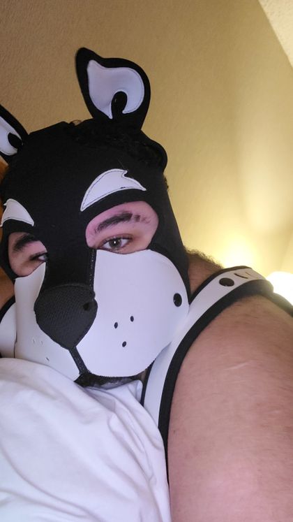 subfreak_xxx OnlyFans picture