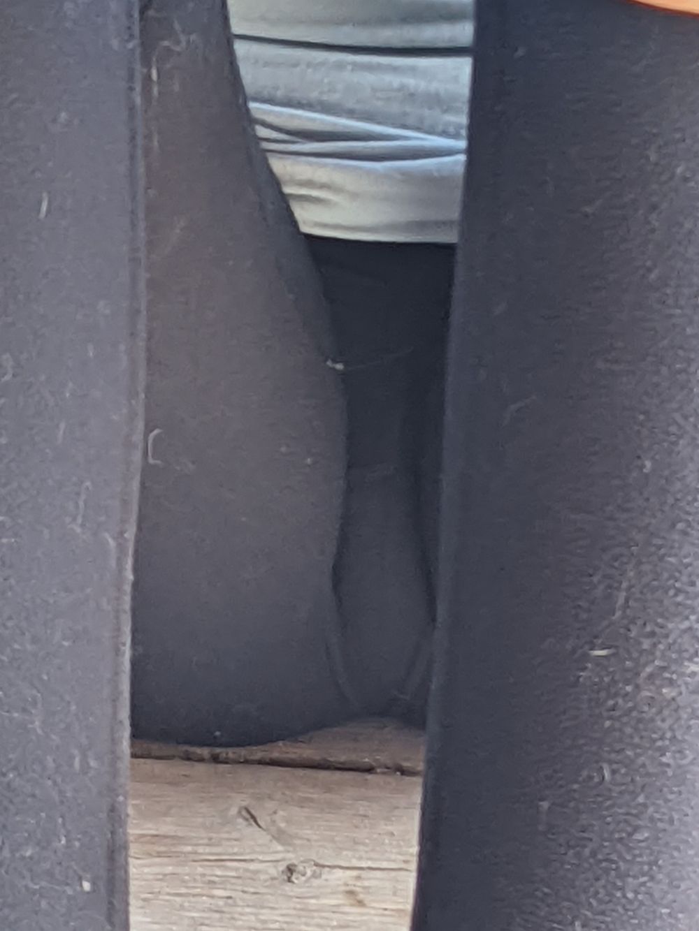 realwifegurl OnlyFans profile picture