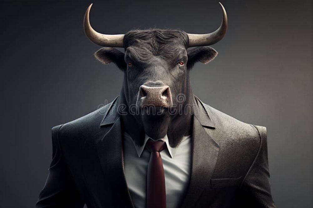 bull4you247 OnlyFans profile picture