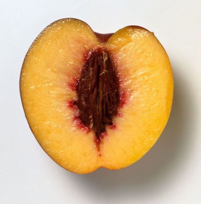 peachesycream OnlyFans profile picture