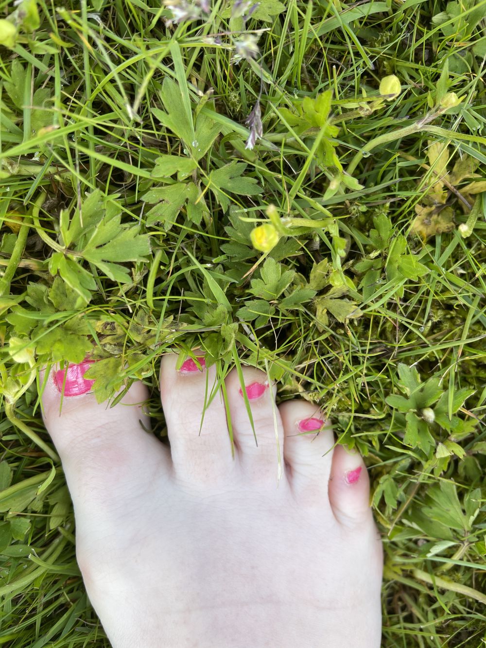 footfoodfetishx111 OnlyFans profile picture