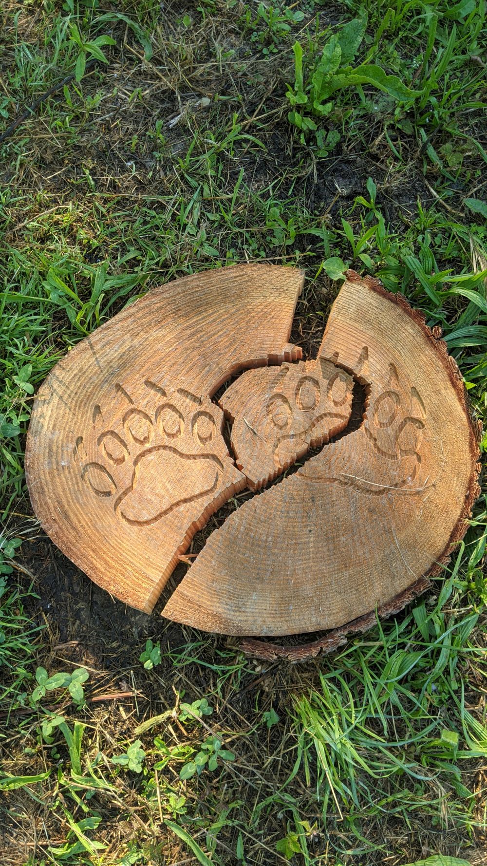 beautifulbarefeet OnlyFans profile picture