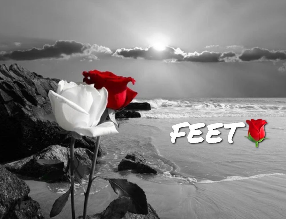mzlovelyfeett OnlyFans profile picture