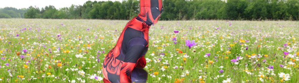 toypool OnlyFans profile picture