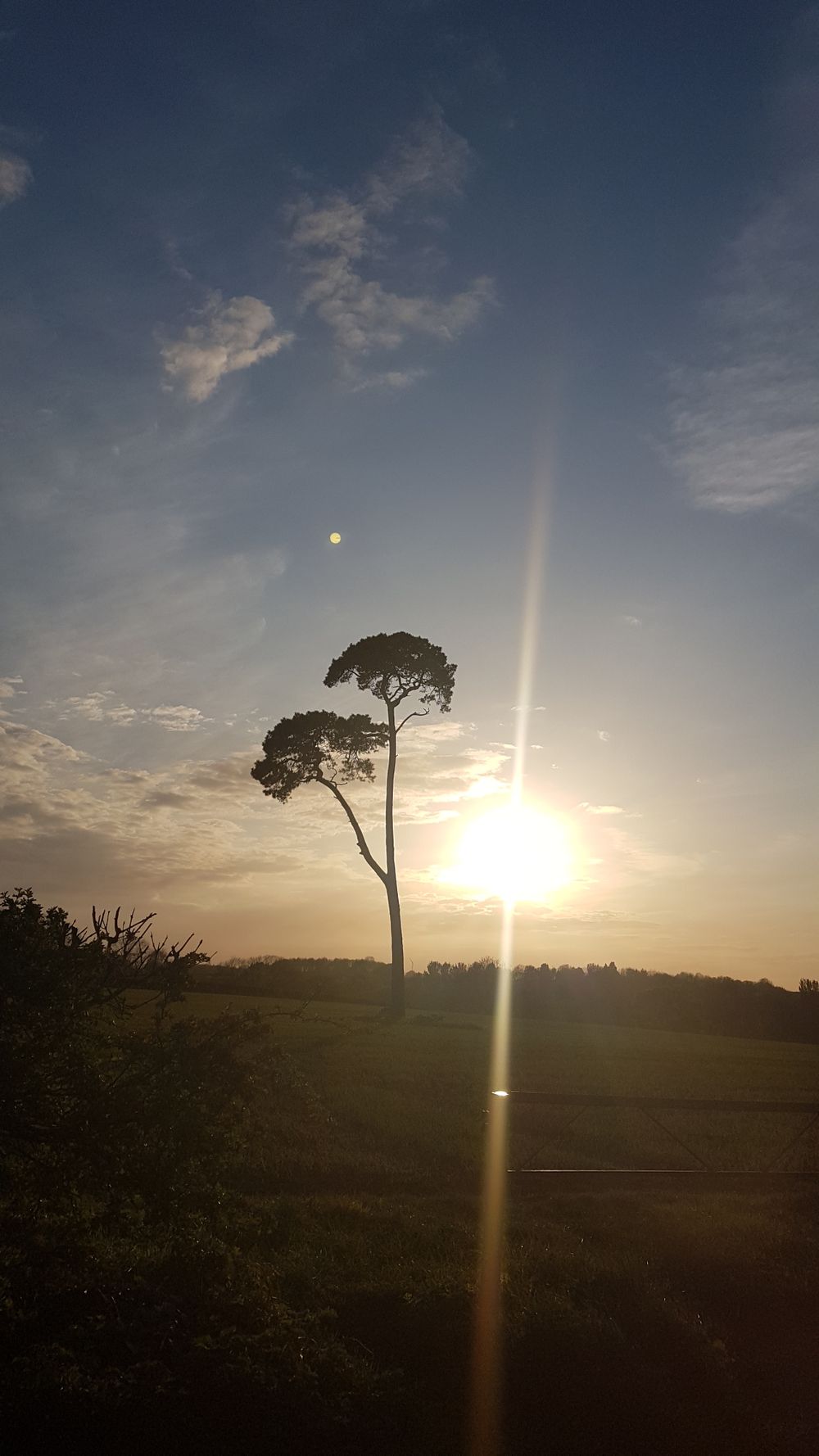 ballyman999 OnlyFans profile picture