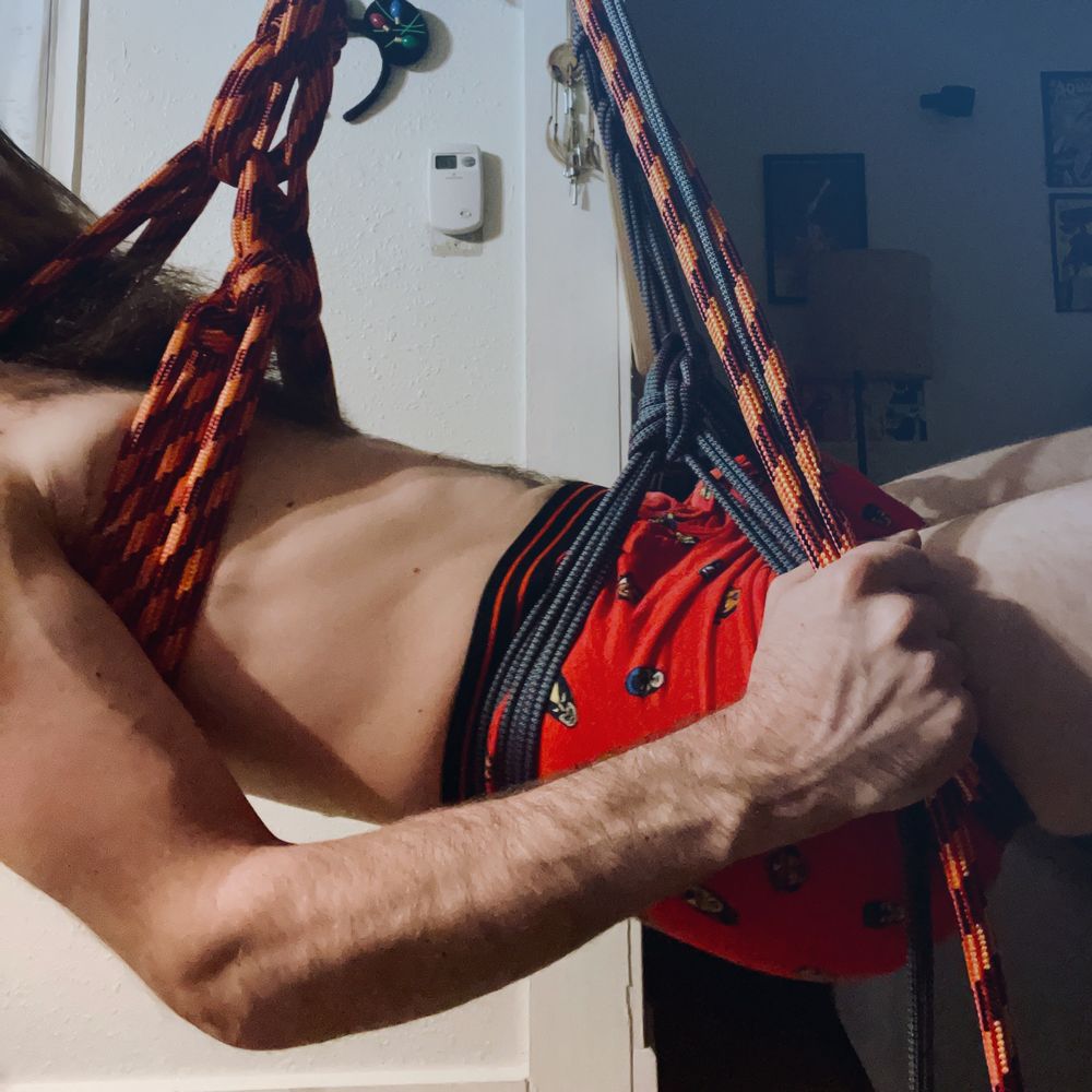 scotty_willing OnlyFans profile picture