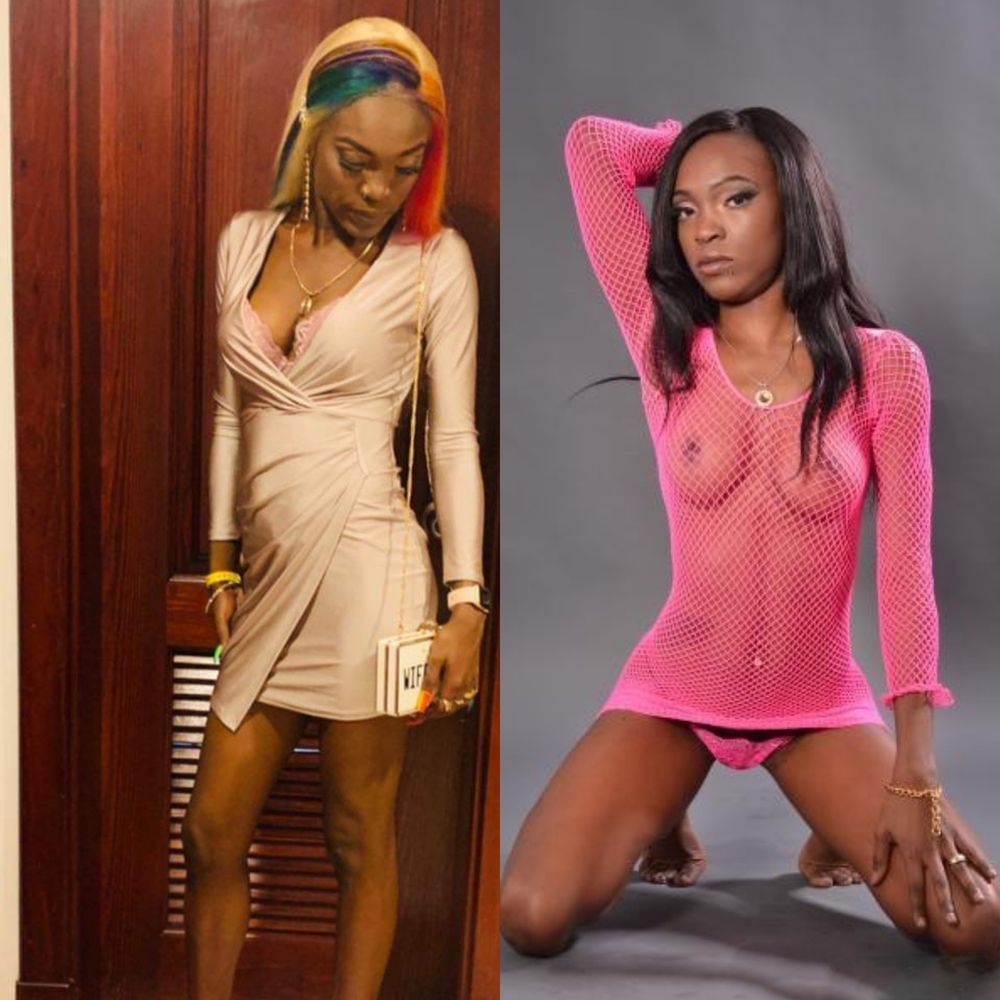 xojenika OnlyFans profile picture