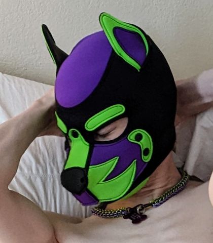 pup_toxic OnlyFans picture