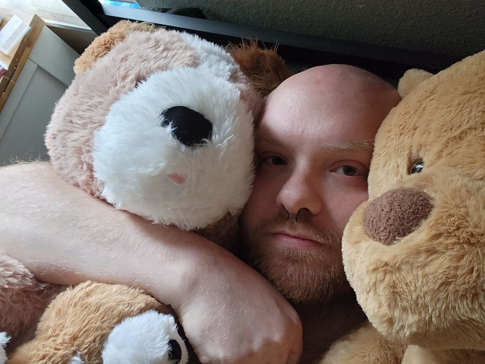 jimothythebear OnlyFans profile picture
