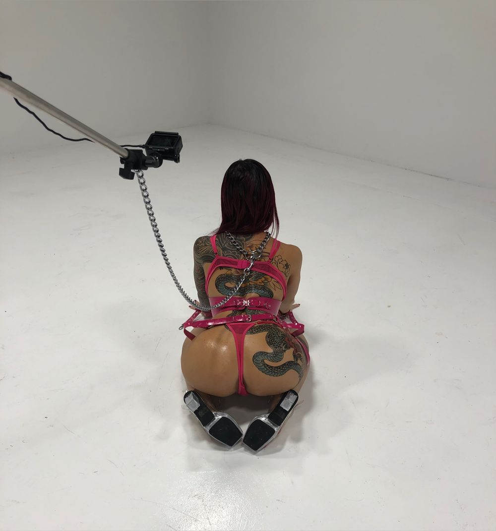 lunaxlegend OnlyFans profile picture