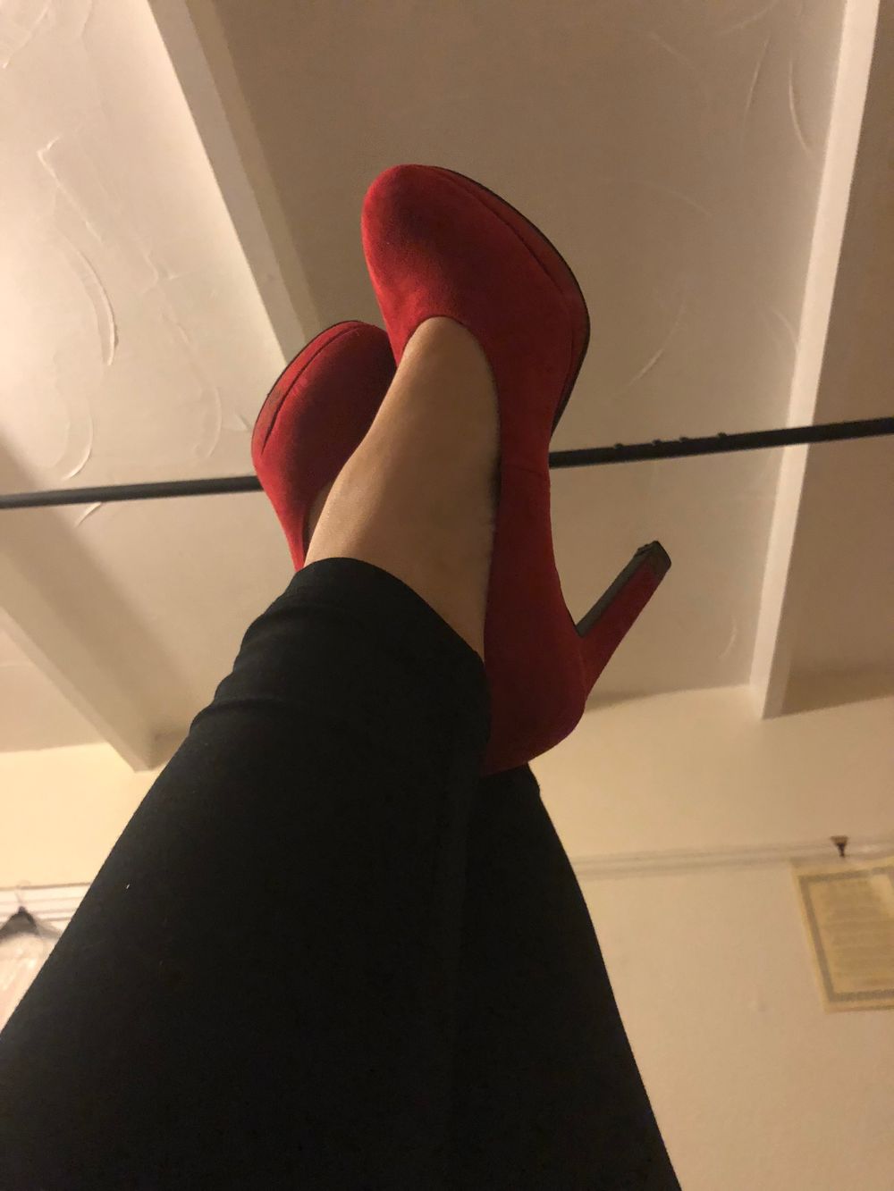 foxglove79 OnlyFans profile picture