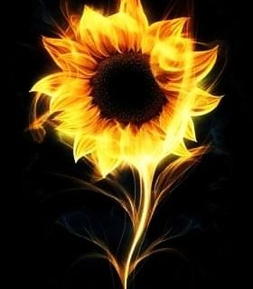 sunflower099 OnlyFans profile picture