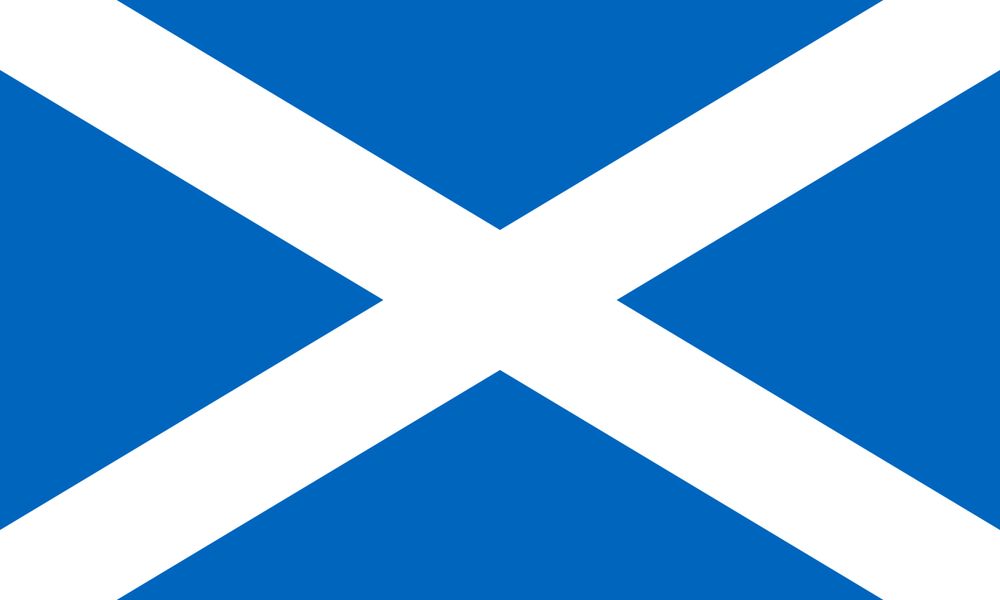 scottishbear86 OnlyFans profile picture