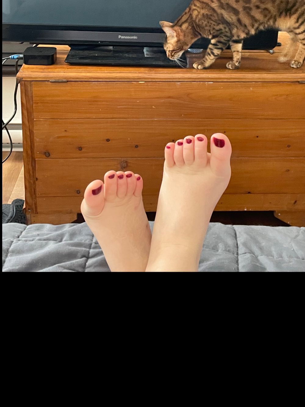 akirakatsoa OnlyFans profile picture