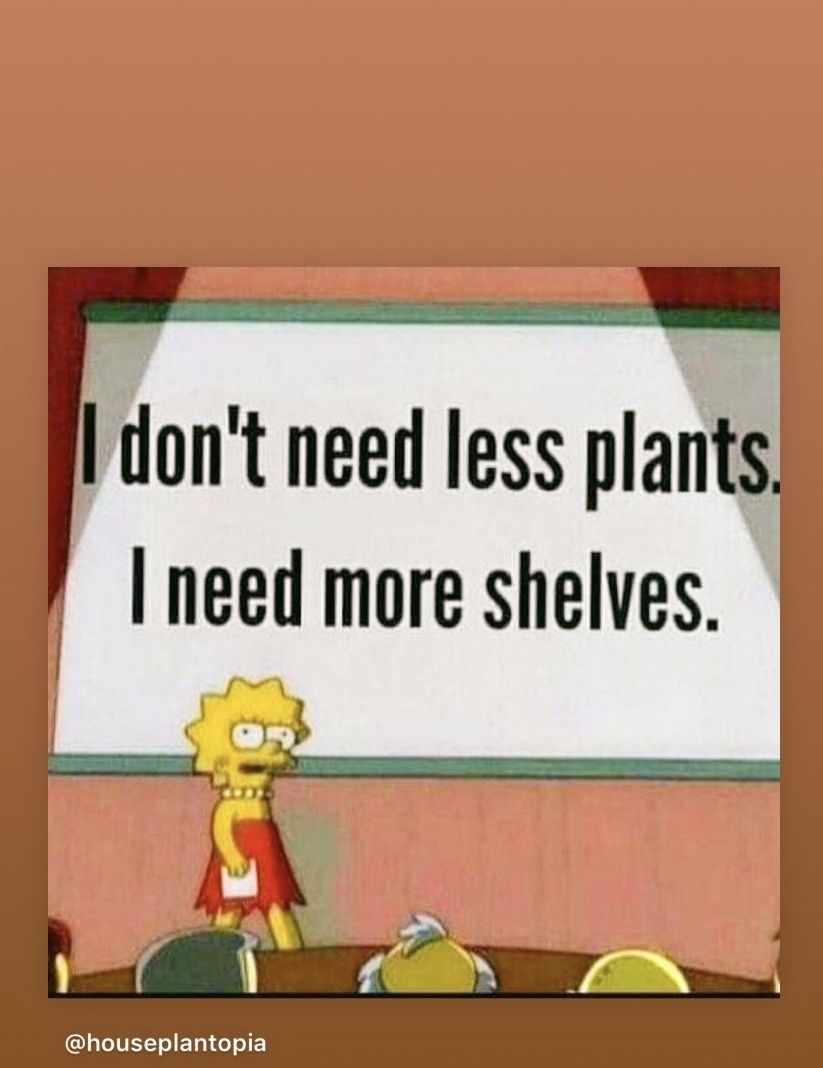 fundsforfoliage OnlyFans profile picture