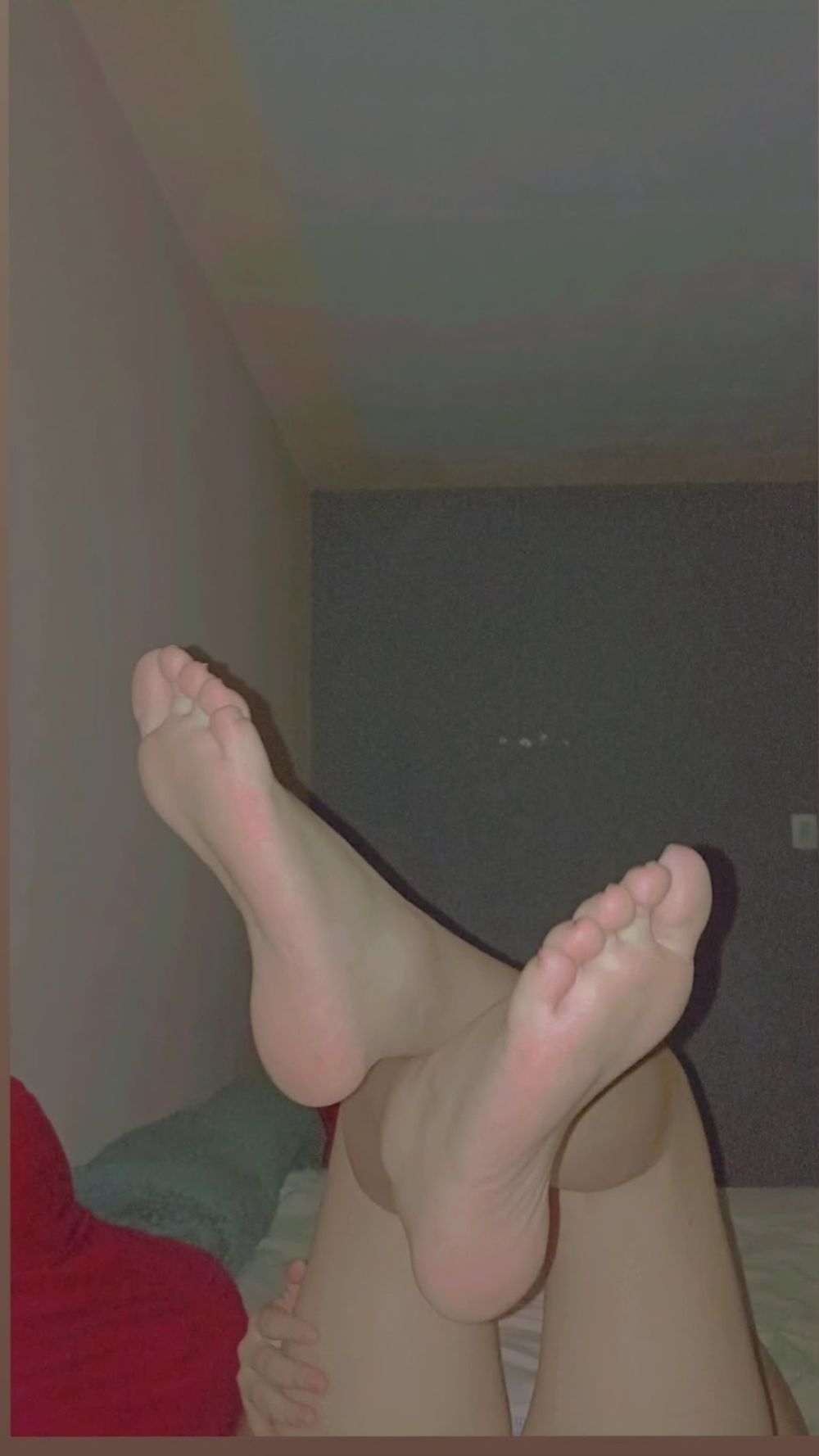 guadalupe_1814 OnlyFans profile picture