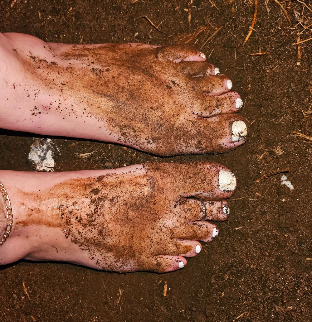 ginggertoes OnlyFans profile picture