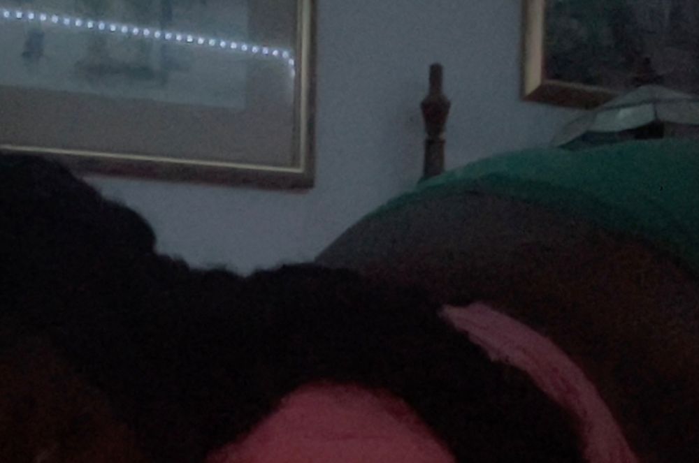 playg1rlbunn1 OnlyFans profile picture
