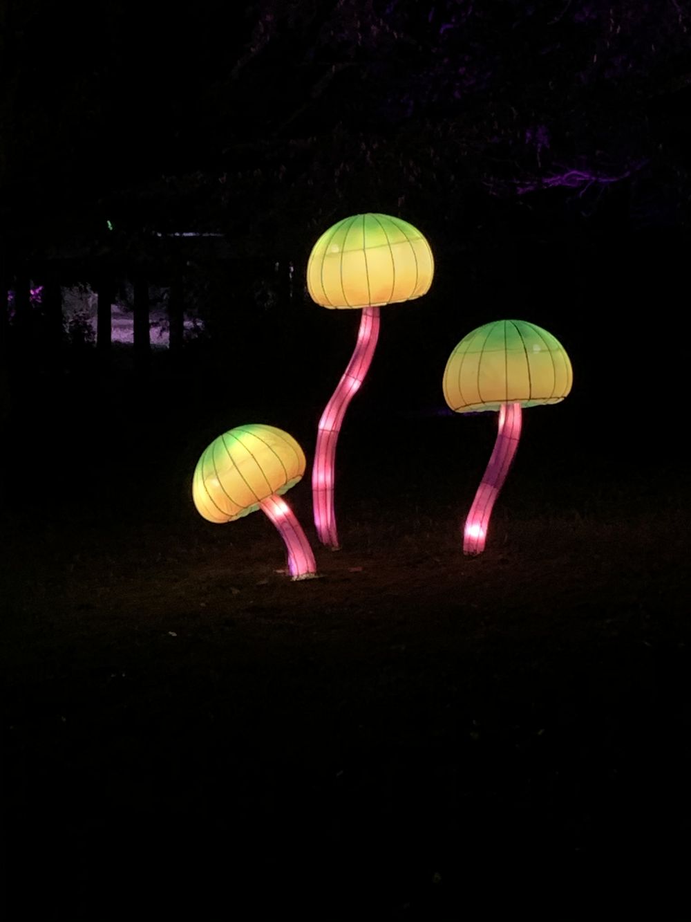 trippytxss OnlyFans profile picture