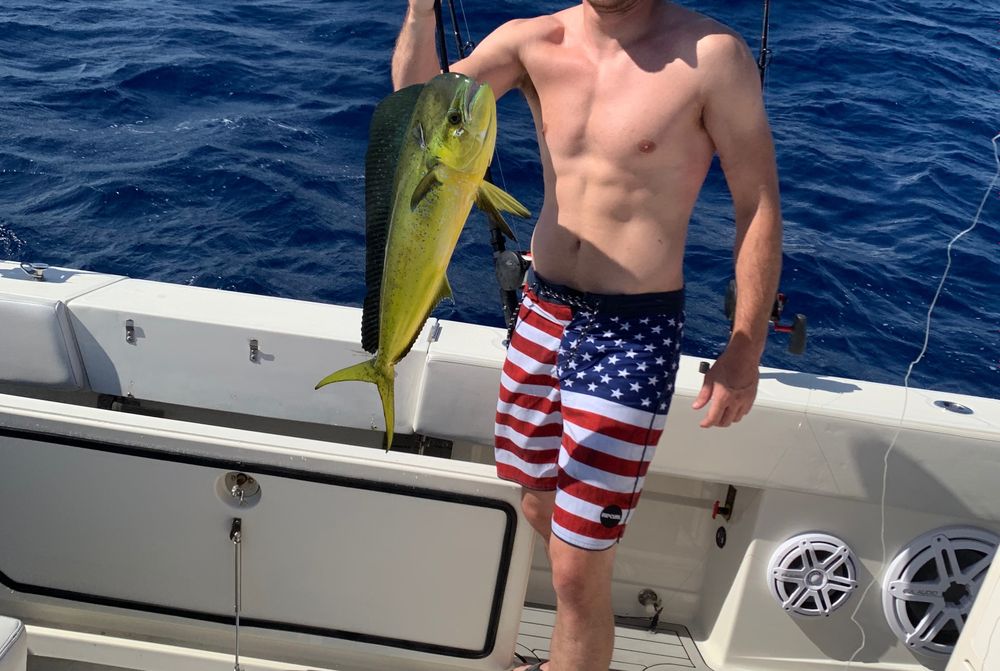stuntcockdvda OnlyFans profile picture