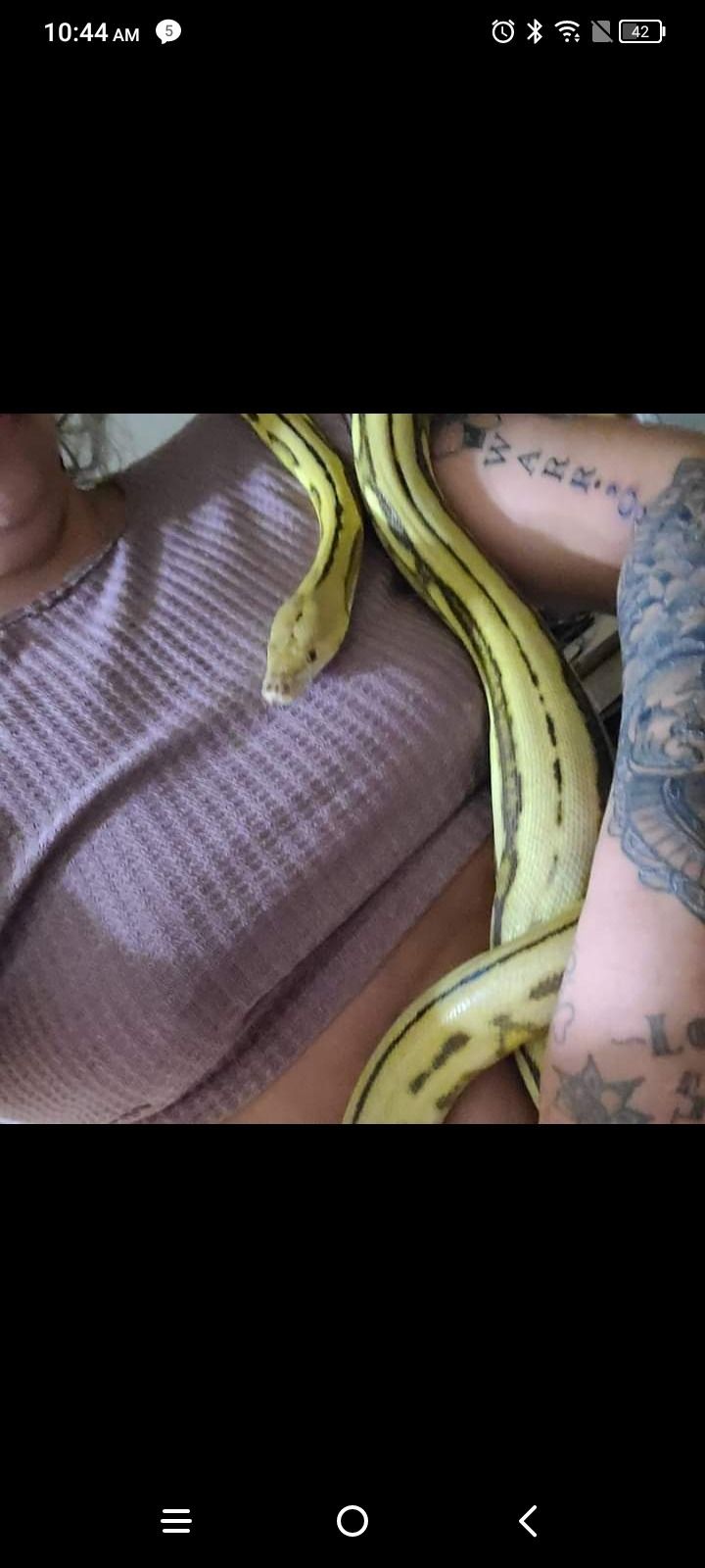 bishfromthesouth OnlyFans profile picture