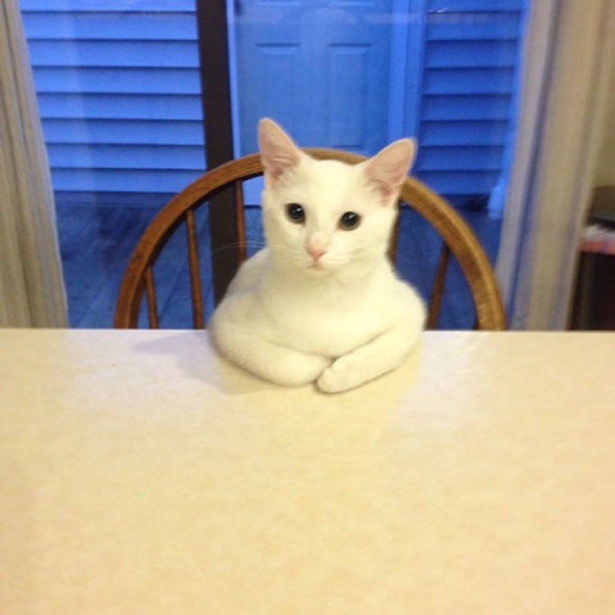 beanspice OnlyFans profile picture