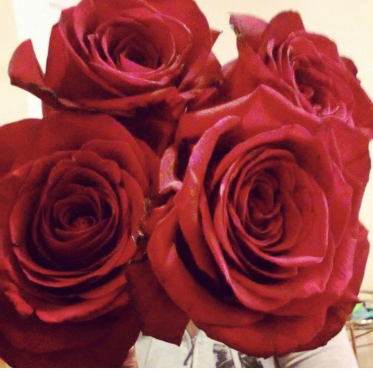 sweetheart2244 OnlyFans profile picture