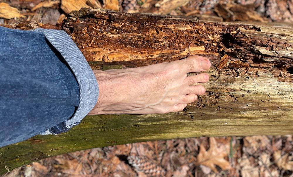 firesidefeet OnlyFans profile picture
