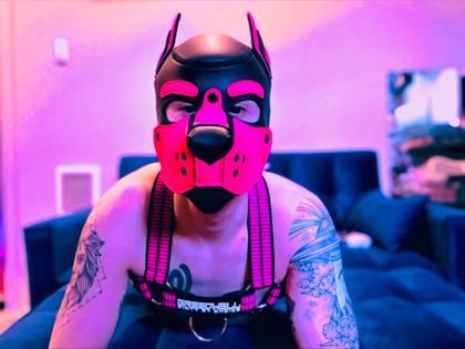pocketsubpup OnlyFans picture