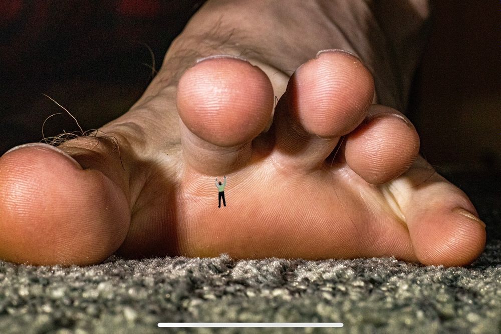 macrocole OnlyFans profile picture