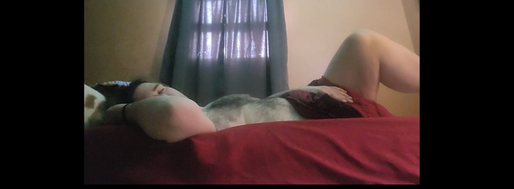 damntoto OnlyFans profile picture