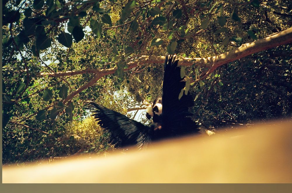 reixo OnlyFans - Stats, Graphs, Photos & Profile Comparisons