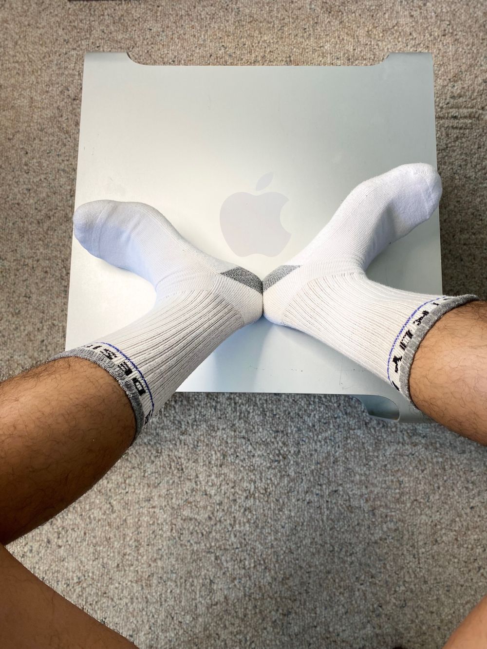 beachball OnlyFans profile picture