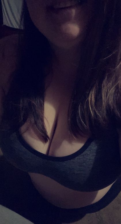 kkvettech OnlyFans picture