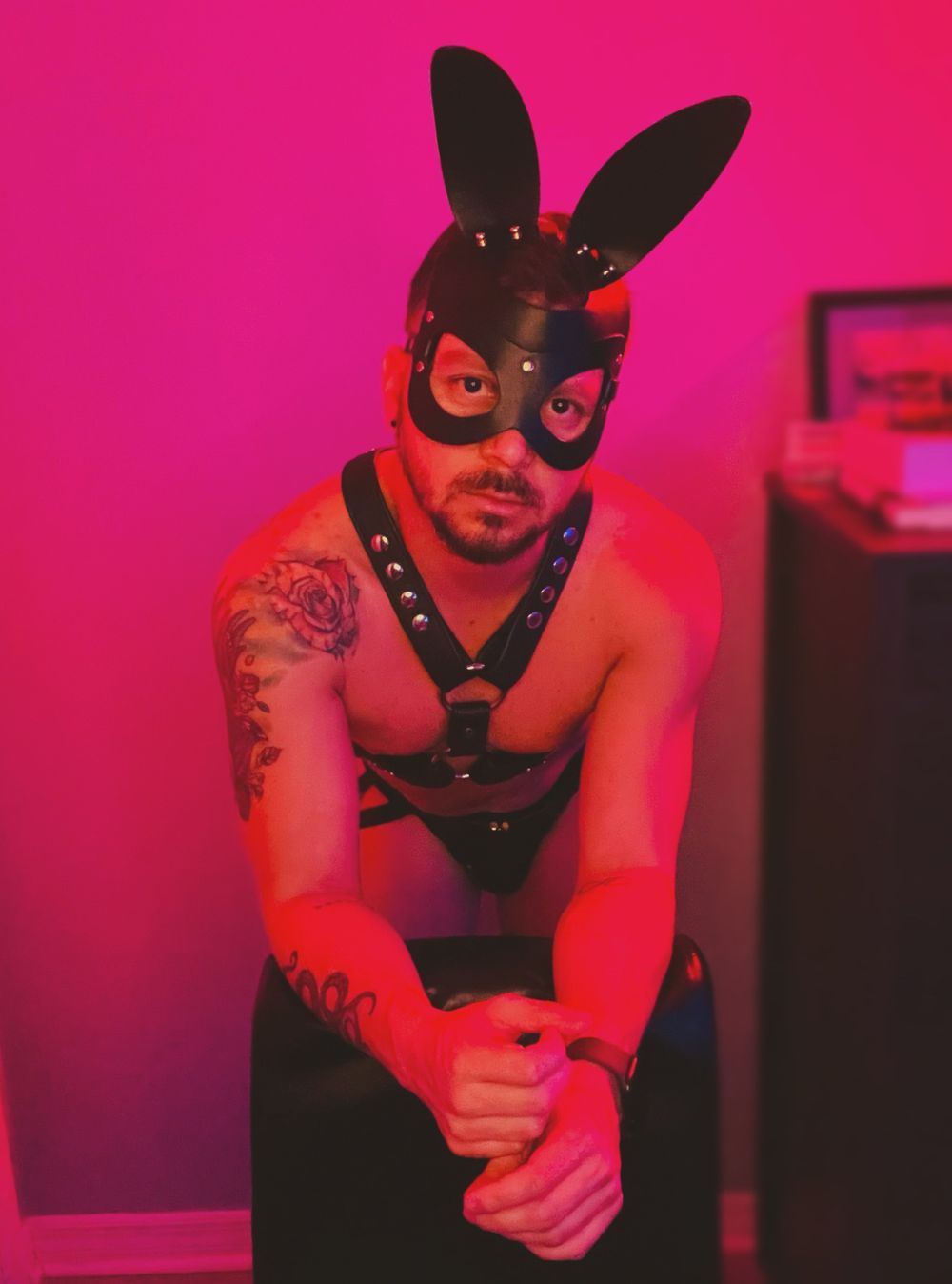 badbunyxxx OnlyFans profile picture