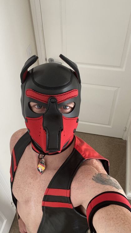 pup_aries OnlyFans picture
