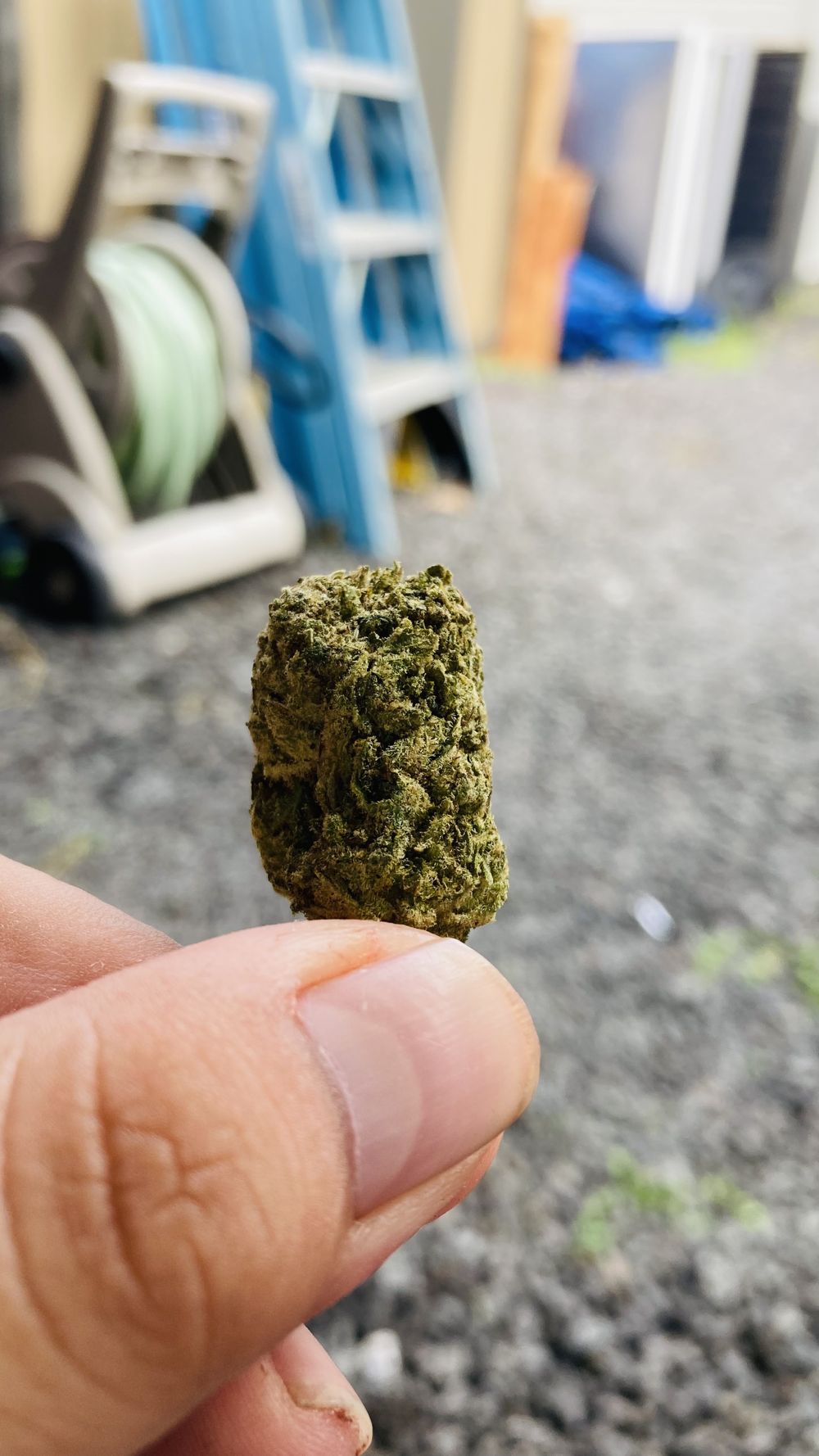 stickybud OnlyFans profile picture
