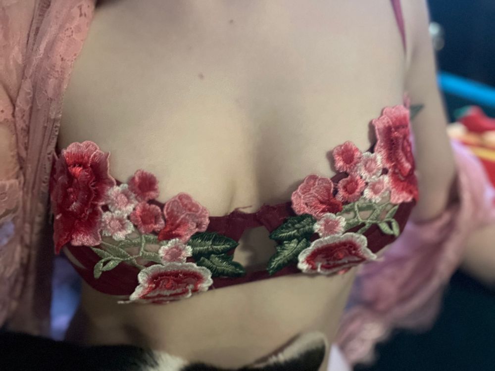 gwennabellafree OnlyFans profile picture
