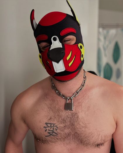 theshadowpup OnlyFans picture